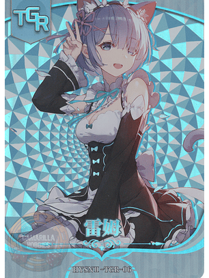 Rem - HYSN II - TGR - 06