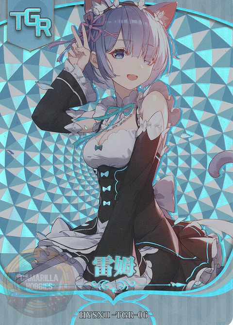 Rem - HYSN II - TGR - 06