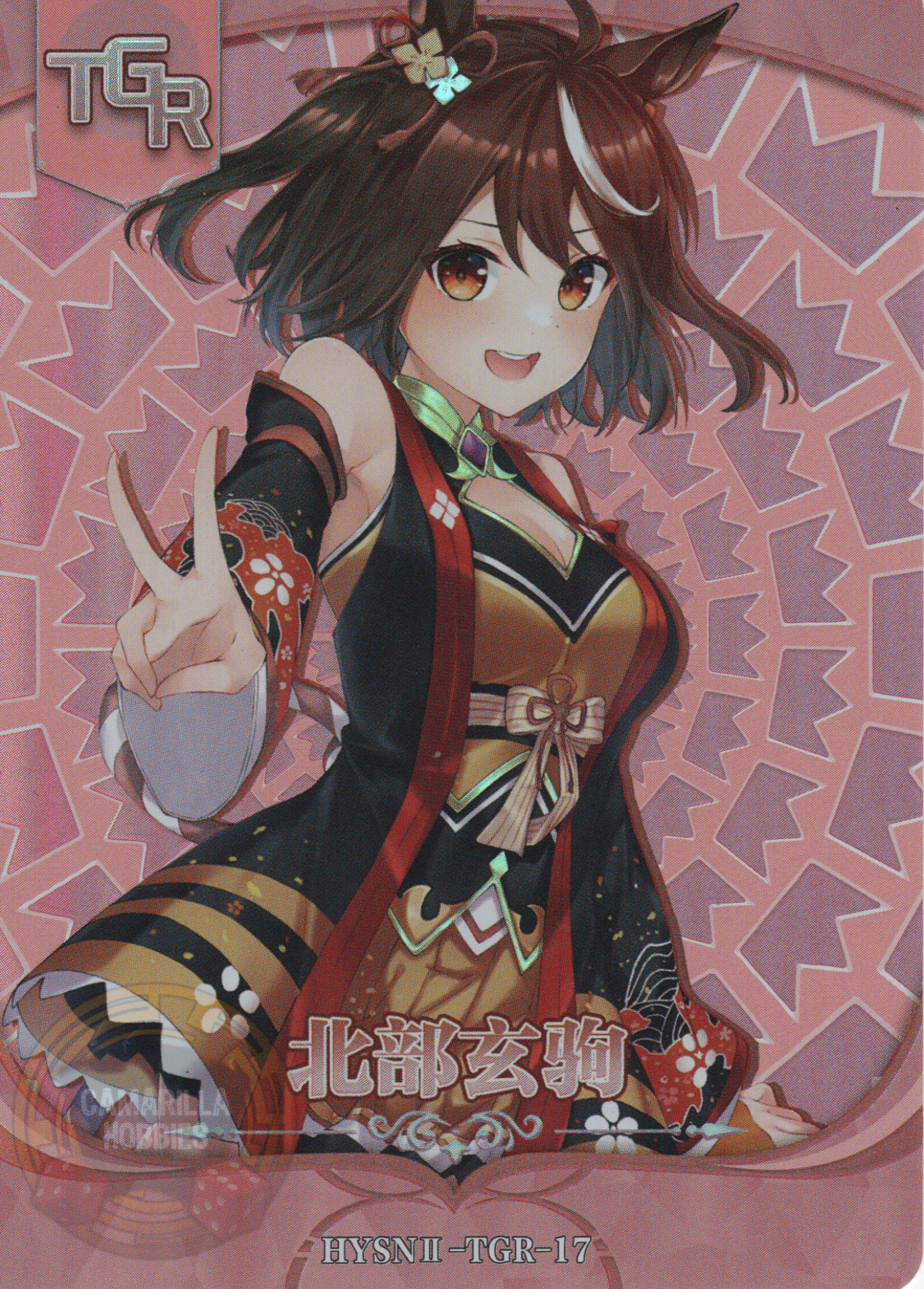 Kitasan Black - HYSN II - TGR - 17 1