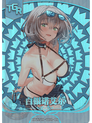 Noel Shirogane - HYSN II - TGR - 18