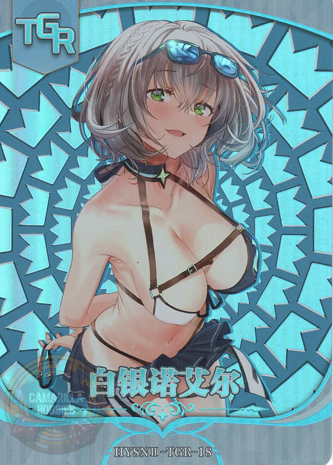 Noel Shirogane - HYSN II - TGR - 18