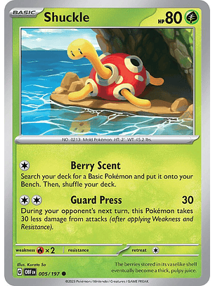 Shuckle - 005/197 - Common - obf