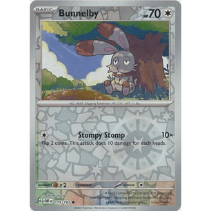 Bunnelby - 175/197 - Common - Obf