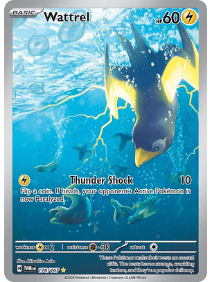 Wattrel - 178/167 - Illustration Rare - Twm