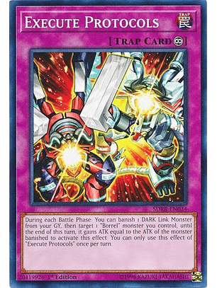 Execute Protocols - SDRR-EN034 - Common