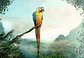 Rompecabezas Parrot 99 Piezas - Ravensburger - Miniatura 2