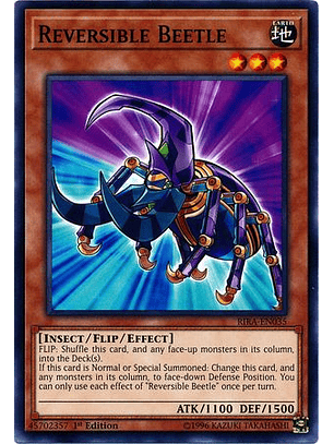 Reversible Beetle - RIRA-EN035 - Common 