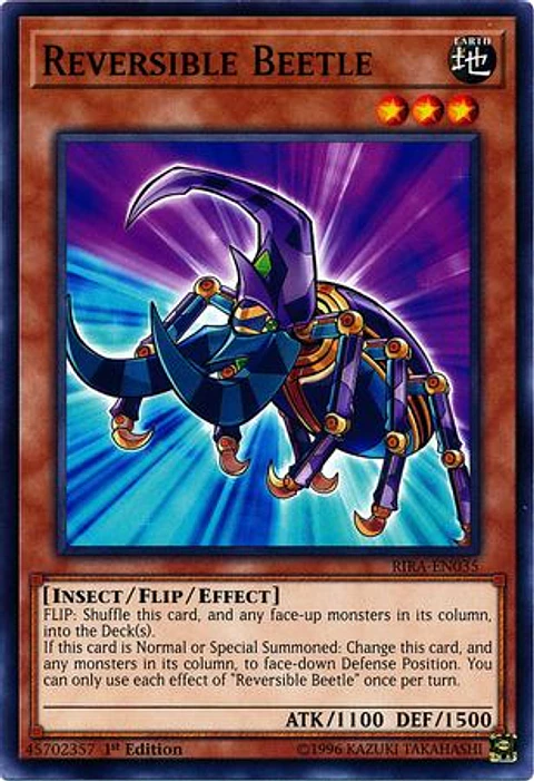 Reversible Beetle - RIRA-EN035 - Common 