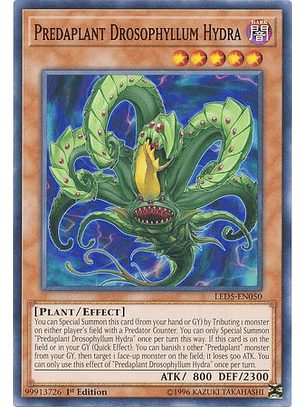 Predaplant Drosophyllum Hydra - LED5-EN050 - Common