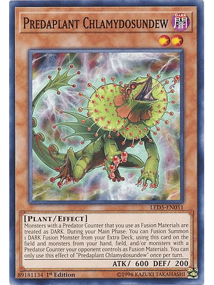 Predaplant Chlamydosundew - LED5-EN051 - Common