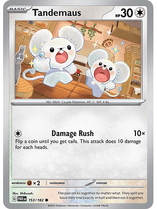 Tandemaus - 153/182 - Common - PAR