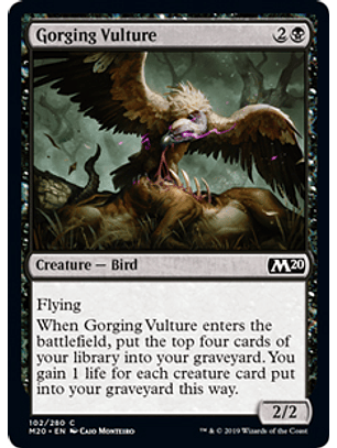 Gorging Vulture - M20 - C 