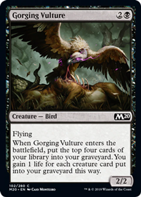 Gorging Vulture - M20 - C 