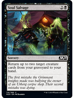 Soul Salvage - M20 - C 