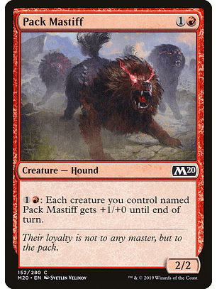 Pack Mastiff- M20 - C