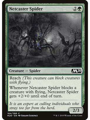 Netcaster Spider - M20 - C 