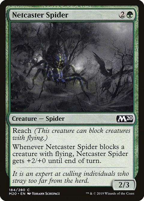 Netcaster Spider - M20 - C 