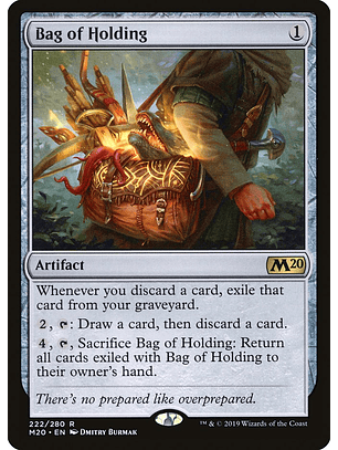 Bag of Holding - M20 - R 