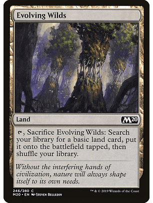 Evolving Wilds - M20 - C 