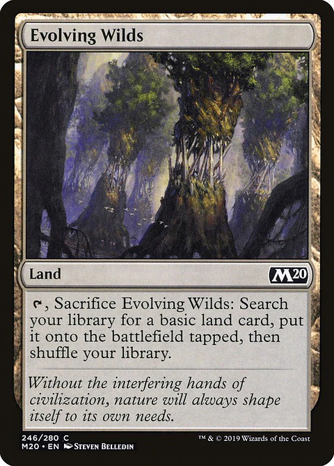 Evolving Wilds - M20 - C 