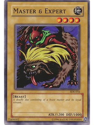 Master & Expert - SDK-016 - Common