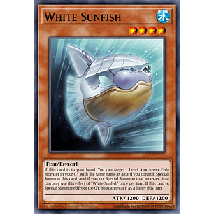 White Sunfish - MP25-EN304 - Common 