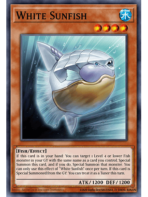 White Sunfish - MP25-EN304 - Common 