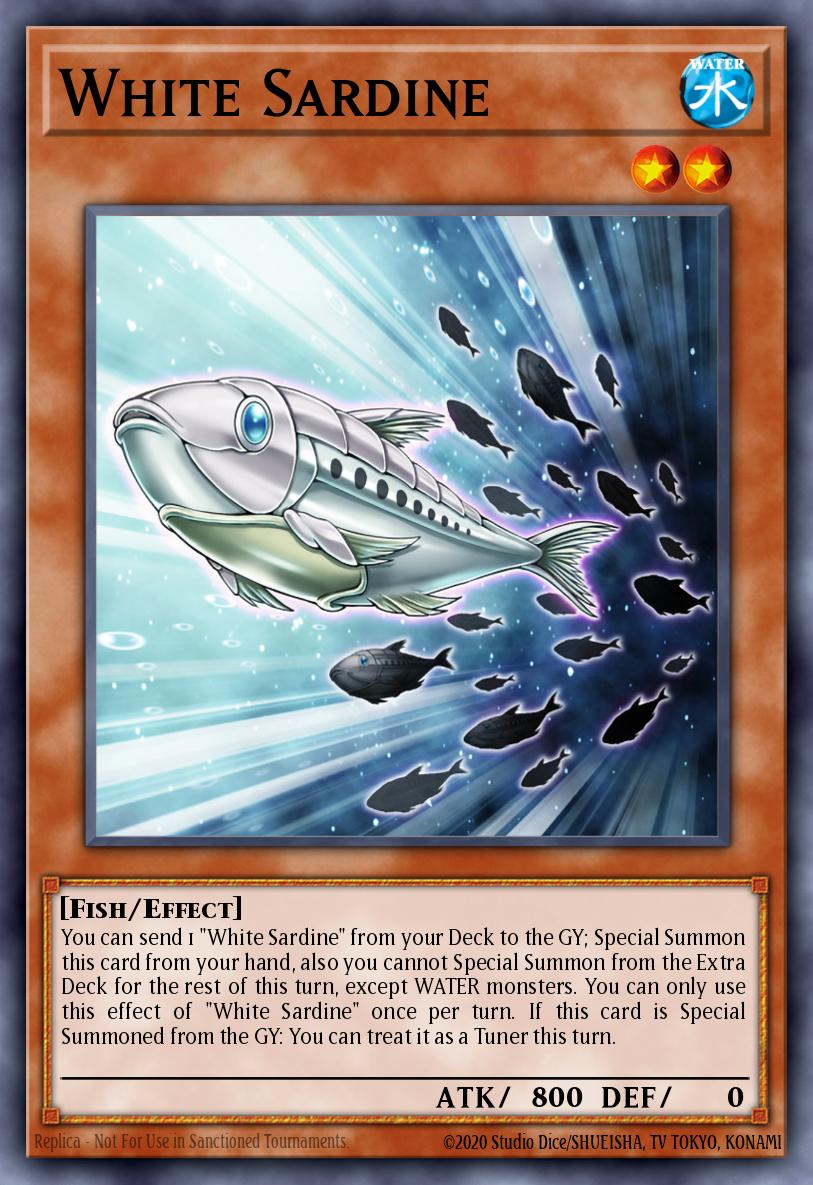 White Sardine - MP25-EN305 - Common  1