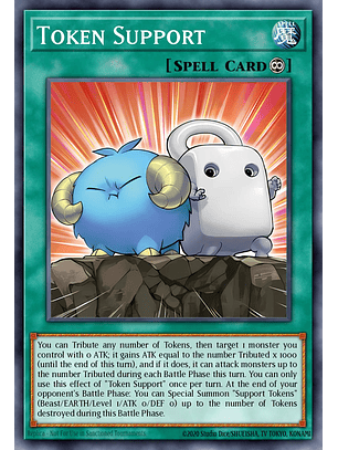 Token Support - MP25-EN420 - Common 