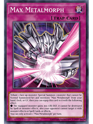 Max Metalmorph - MP25-EN424 - Common 