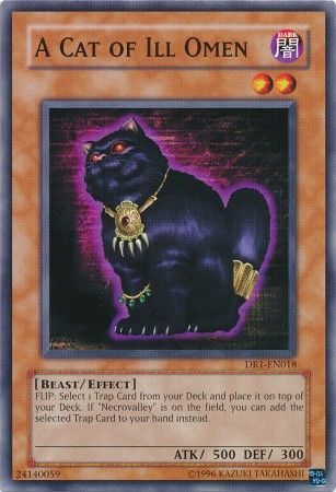 A Cat of Ill Omen - DR1-EN018 - Common 1