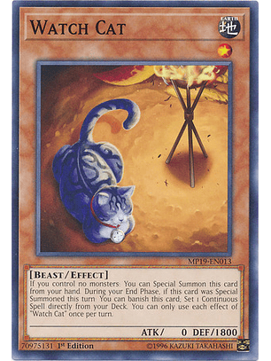 Watch Cat - MP19-EN013 - Common