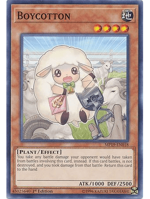 Boycotton - MP19-EN018 - Common