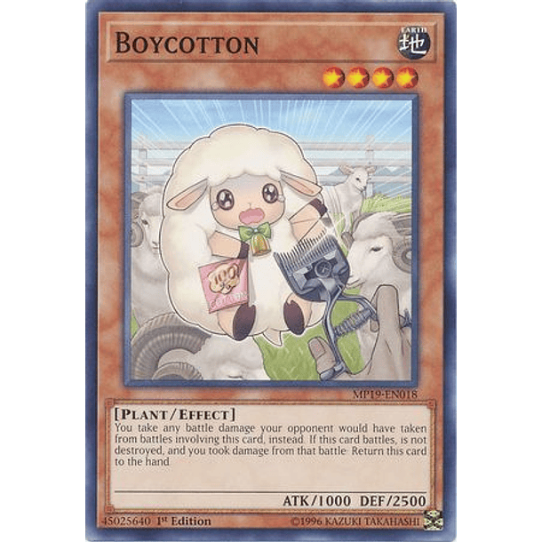 Boycotton - MP19-EN018 - Common