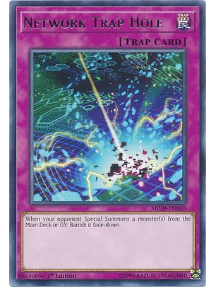 Network Trap Hole - MP19-EN050 - Rare 