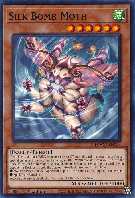 Silk Bomb Moth - DOOD-EN088 - Common  1