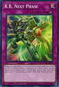 R.B. Next Phase - DOOD-EN096 - Common  - thumbnail 1