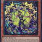 Radiant Typhoon Meghala - DOOD-EN012 - Super Rare  - Miniatura 1