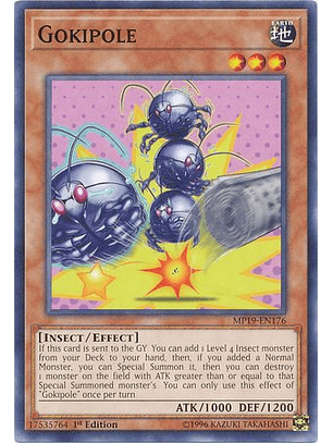 Gokipole - MP19-EN176 - Common