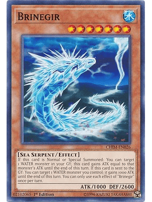  Brinegir - CHIM-EN026 - Common