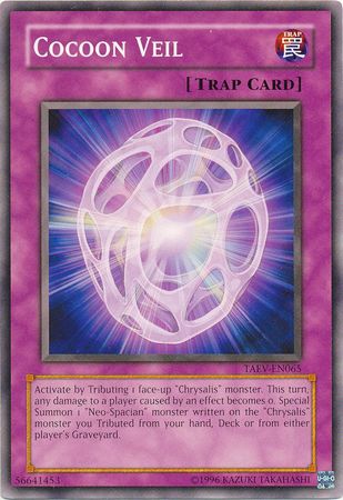 Cocoon Veil - TAEV-EN065 - Common 1