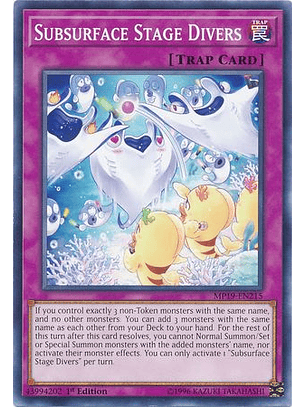 Subsurface Stage Divers - MP19-EN215 - Common 