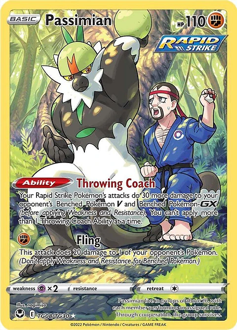 Passimian - TG08/TG30 -  Ultra Rare - silver tempest