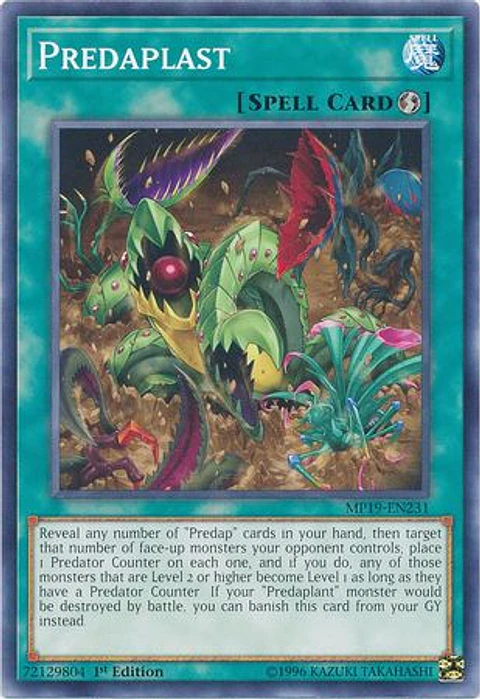 Predaplast - MP19-EN231 - Common 