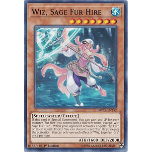 Wiz, Sage Fur Hire - MP19-EN252 - Common