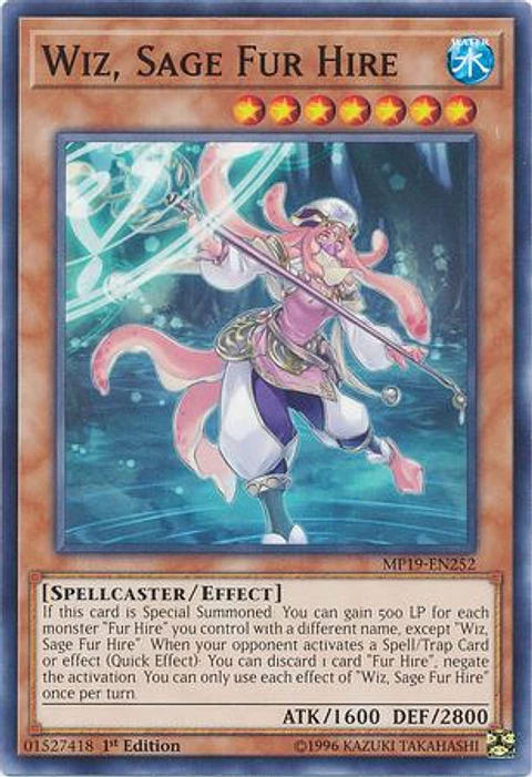 Wiz, Sage Fur Hire - MP19-EN252 - Common