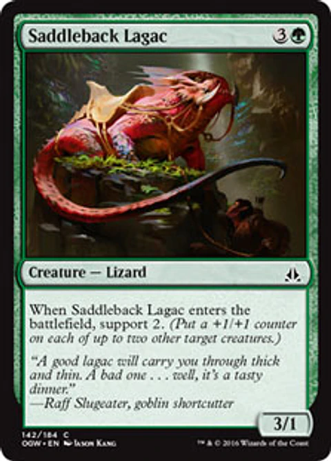 Saddleback Lagac - OGW - C 