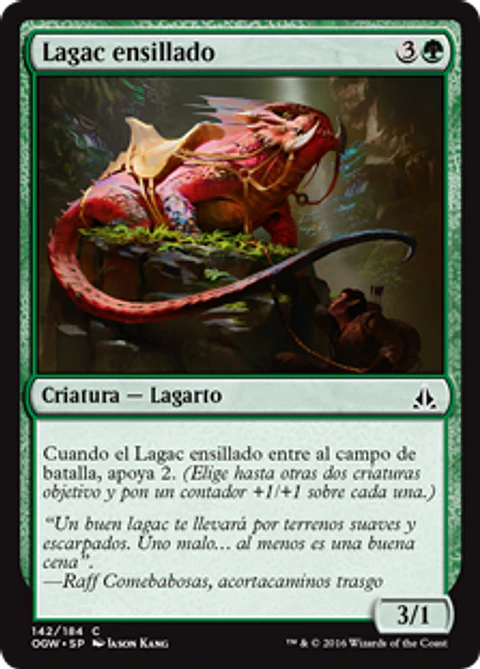 Saddleback Lagac - OGW - C 
