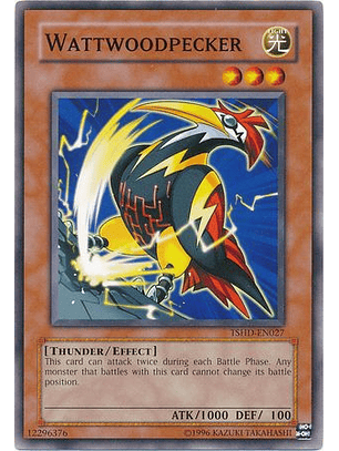 Wattwoodpecker - TSHD-EN027 - Common