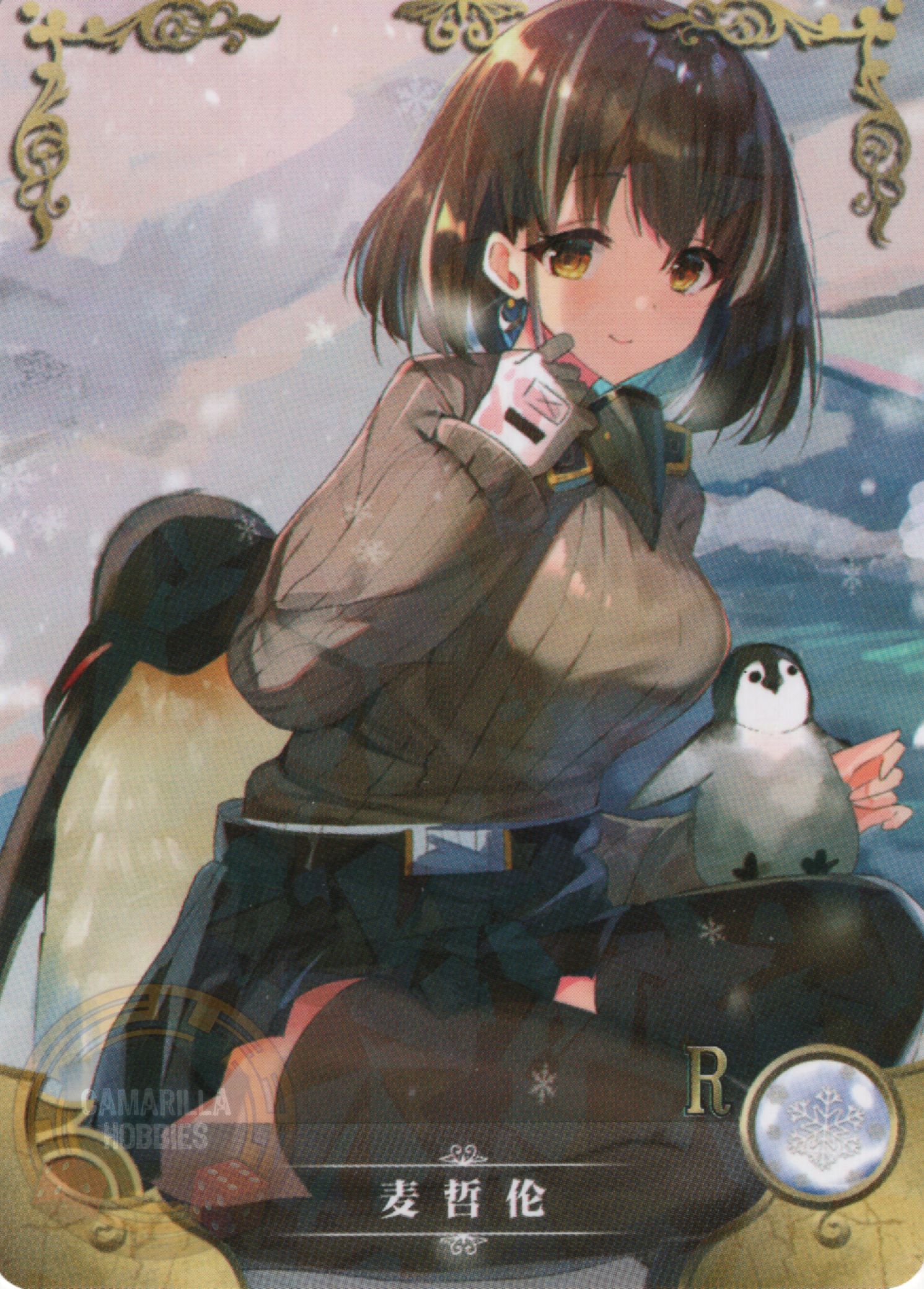 Magallan - NS-2M16-03 - R 1